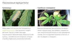 PicsArt_08-01-10.42.52.jpg