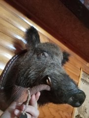 Покур