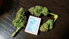bud matches