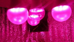 fito_light_led.JPG