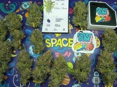 space