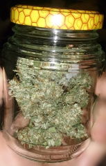strawberry_jar.JPG