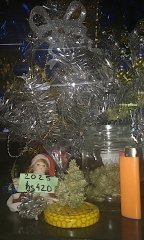 xmas_2025.jpg