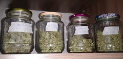 jars.JPG