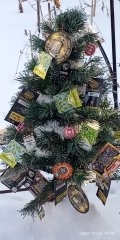 IMG_20241229_110209.jpg