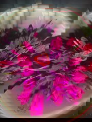 AA38FF71-816C-4847-9343-76AF3A60394D.jpeg