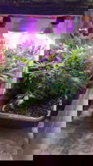 0D57C813-3826-4D66-BEDC-8192ECB6DCF1.jpeg
