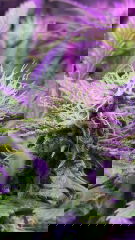 982A73E5-E26E-4781-A5F6-FA764006E502