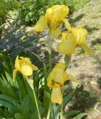 IMAGE 2025-05-23 11:56:58