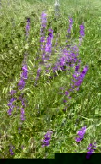 IMAGE 2025-05-23 14:54:04.jpg