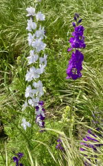 IMAGE 2025-05-23 14:54:38.jpg