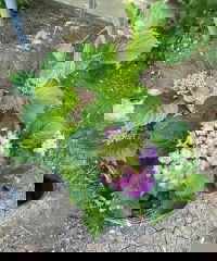 IMAGE 2025-06-07 15:18:11