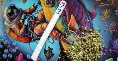 slim joint