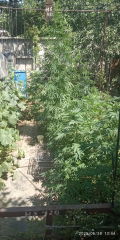 IMG_20250628_134449.jpg