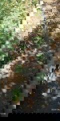 IMG_20250628_134502.jpg