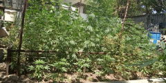 IMG_20250706_123403.jpg