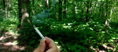magic smoke