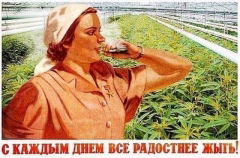 Юмор