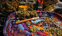 xxx-gelato-sm2-blend