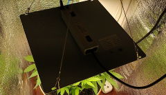 growbox 43x43 85W
