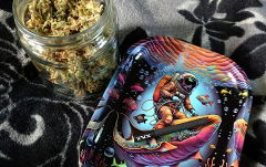 joint XXX