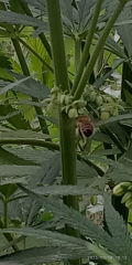IMG_20250818_101231.jpg