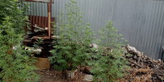 IMG_20250818_101525.jpg