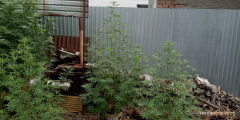 IMG_20250818_101530.jpg
