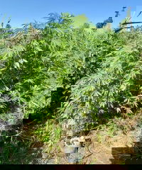 KG#10 2025-08-21 10-10-24