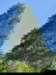 IMAGE 2025-07-12 18:35:27.jpg