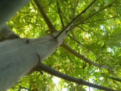 KG#9 2025-09-12 15:52:25