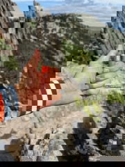 .